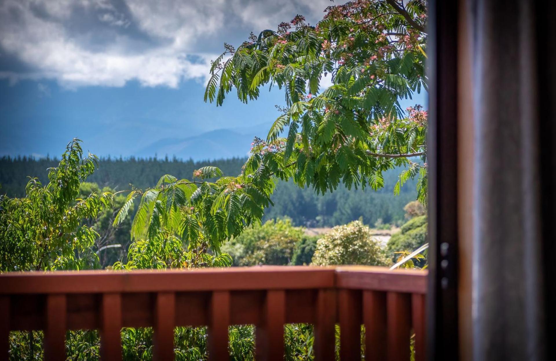 Sea Breeze Villa Mapua Bagian luar foto